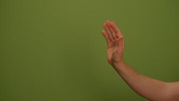 This is an Abstract Green Texture Background specifically designed for Creative Projects video