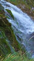 A Serene Mountain Stream Cascading Gently Through the Lush Greenery of Natures Design video