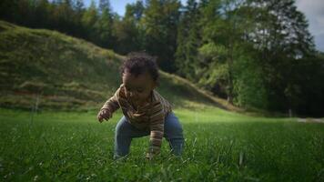 A Curious Baby Enjoys Exploring the Wonders of Nature in a Beautiful Green Field video