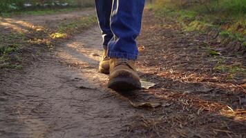 Low view of male legs in boots walking along a path in the forest. A tourist walks in nature on a sunny day. Close up slow motion front view video