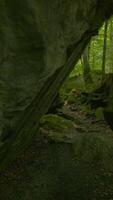 A Serene Forest Cave Surrounded by Lush Greenery and a Gentle, Tranquil Stream Nearby video