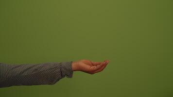 An Abstract Green Background that embodies tranquility and aesthetics in various forms video