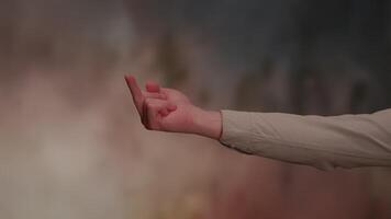 An Intimate CloseUp View of a Hand Gesture Set Against a Softly Blurred Background video