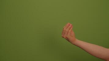 An Elegant Gesture Set Against a Beautiful Green Background That Captures Attention video