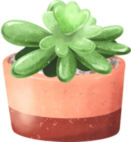 vegetables watercolor painting png