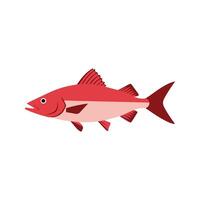 Flat illustration of a snapper with reddish-pink body, angular fins, sleek minimal design, clean modern aesthetic vector