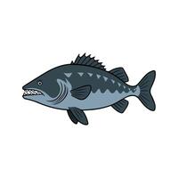 Flat illustration of a wolffish with dark blue-gray body, rugged shape, sharp teeth, minimalistic design, clean background vector