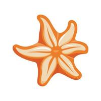 Starfish Flat Illustration, Simple Stylized Design, Orange Color, Symmetrical Shape, Minimalist Look, Clean Lines, White Background vector