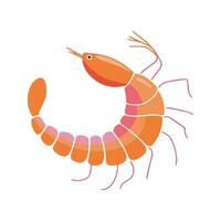Flat illustration of a prawn with smooth, curving orange-pink body, minimal lines for legs and antennae, modern simple design, white background vector