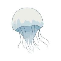 Flat illustration of a moon jellyfish with soft white and blue tones, minimalistic design, smooth, clean background, stylized vector