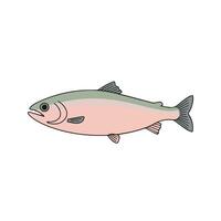 Flat illustration of rainbow trout with pastel pink body, greenish-blue gradient, streamlined fins, minimalistic design, modern aesthetic vector