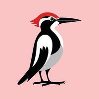 Flat Illustration of Woodpecker with Bold Red Head Patch and BlackWhite Body vector