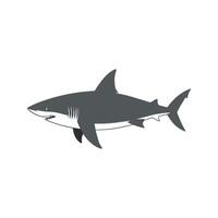 Flat illustration of a shark with long streamlined body, sharp fins, curved shape, minimalistic design, clean background vector