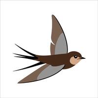Flat illustration of a stylized common swift with brown body, sleek wings, and minimalistic design, plain white background vector