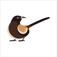 Flat illustration of a stylized bulbul with brown body, short curved beak, and medium tail, minimalistic design, plain white background vector