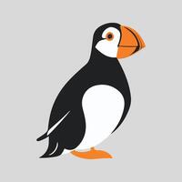 Flat illustration of a stylized Atlantic puffin with black body, orange beak, and white belly, minimalistic design, plain white background vector