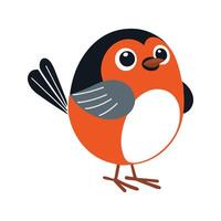 Flat Illustration of Cheerful American Robin with Bright Orange Chest vector