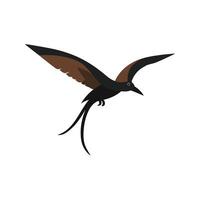Flat illustration of a stylized black kite with brown-black body, forked tail, and sharp beak, minimalistic design, plain white background vector