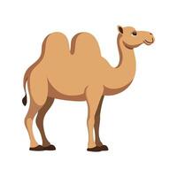 Flat Camel Illustration, Simplified Beige Body with Large Hump, Minimalist Cartoon Style vector