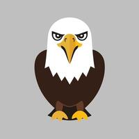 Flat Illustration of Bald Eagle with White Head and Dark Brown Wings vector