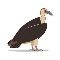 Flat illustration of a stylized vulture with dark brown body, bald head, and large wings, minimalistic design, plain white background vector