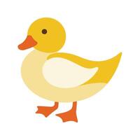 Flat illustration of a stylized duck with yellow body, orange beak, and small feet, minimalistic design, cartoonish style, plain white background vector