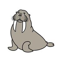 Flat Walrus Illustration, Cartoon Design with Grayish Brown Body and Curved Tusks, Clean Minimalist Style vector
