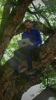 A Man Working on a Laptop While Seated Amidst a Tree Canopy, Embracing Nature and Focus video