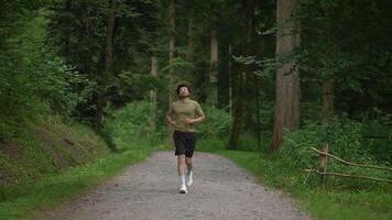 A Runner is Jogging on a Beautiful and Scenic Pathway Through a Lush Green Forest video