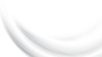 Abstract white and gray color, modern design stripes background with curve lines. illustration. vector