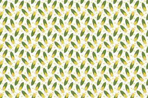 Frame background corn banner. Vegetable corn wallpaper with copy space vector