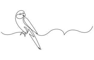 Continuous one line drawing of cute parrot bird with long tail vector