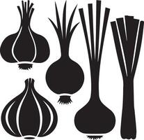 Illustration set of five vegetables illustrations like garlic, onion, scallion, leek, and shallot. vector