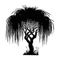 Silhouette of a weeping willow tree vector