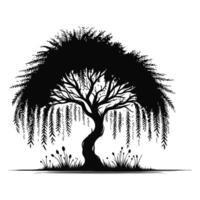 Silhouette of a willow tree vector