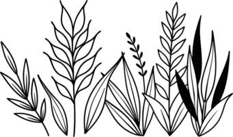 Minimal feminine botanical floral branch in silhouette vector