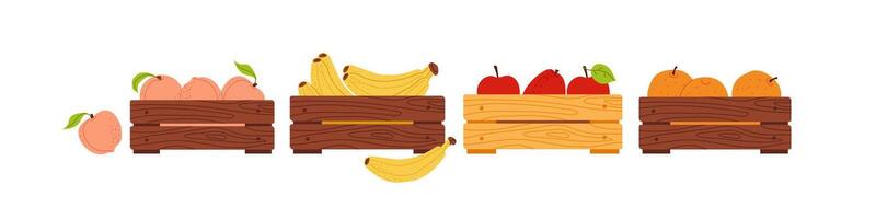 Colorful fruit crates displayed in a flat design style showing various fruits and vegetables vector