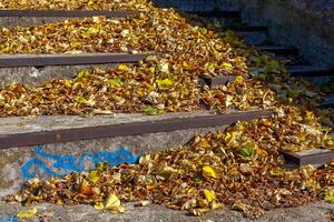 Autumn leaves on steps at Lake Como in Italy photo