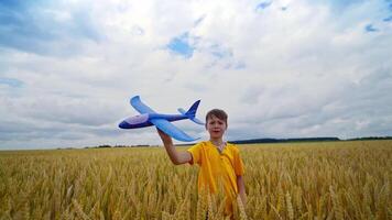 Boy with airplane toy. Happy cute boy with plane toy on wheat field video