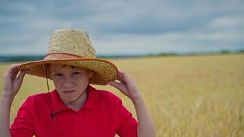 Boy resting on wheat field. Boy in straw hat standing in wheat field video