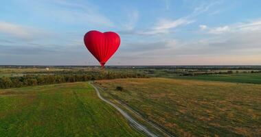 Red balloon in the sky. Balloon in the form of heart over fields video
