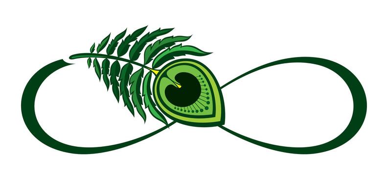 Contour, artistically drawn infinity symbol with light feather on white background. Peacock feather