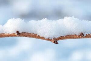 Snowy winter landscape with frozen lake and fallen branch photo