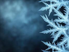 Intricate ice crystal patterns on a dark background photo