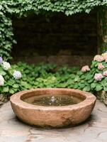 rustic garden fountain with lush foliage photo