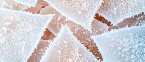 Intricate patterns of frost on a surface photo
