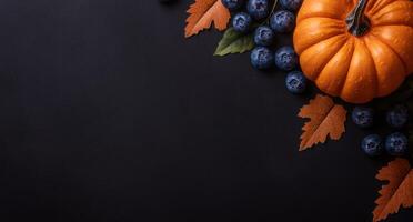 Autumn harvest still life with pumpkins and blueberries photo