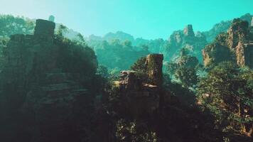 An aerial view of a mountain with trees and rocks video