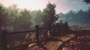 A serene wooded area with a rustic fence video