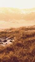 Grassy Field With Mountain in the Background video